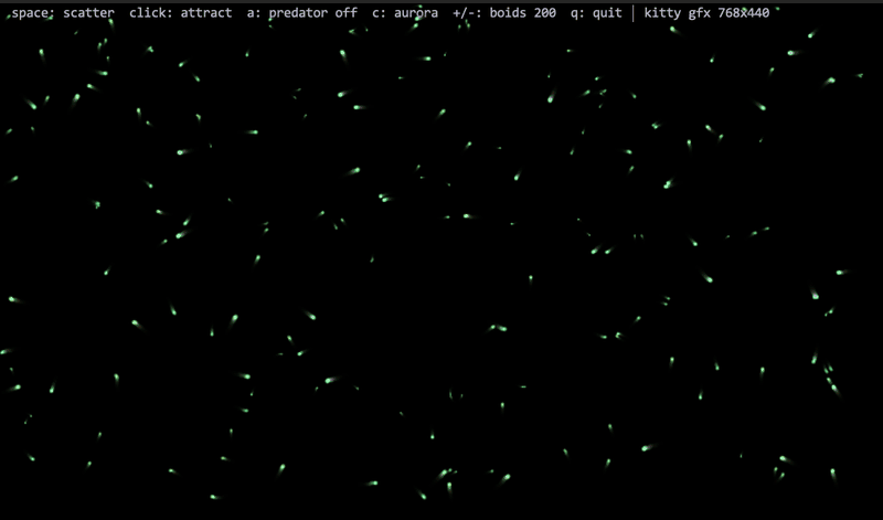 boids demo