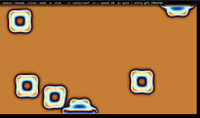 coral demo